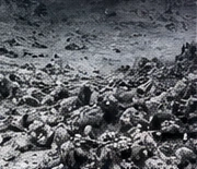 Illustration of coral rubble on the seafloor.