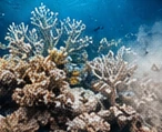 Illustration of branching coral.